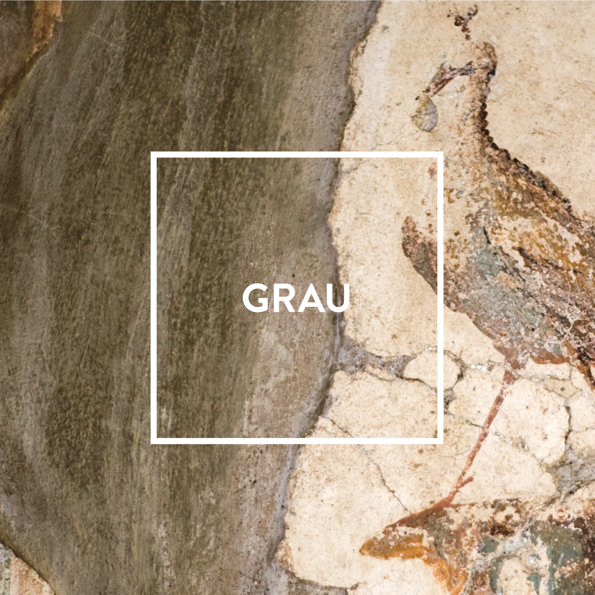 ff_titelbild_grau