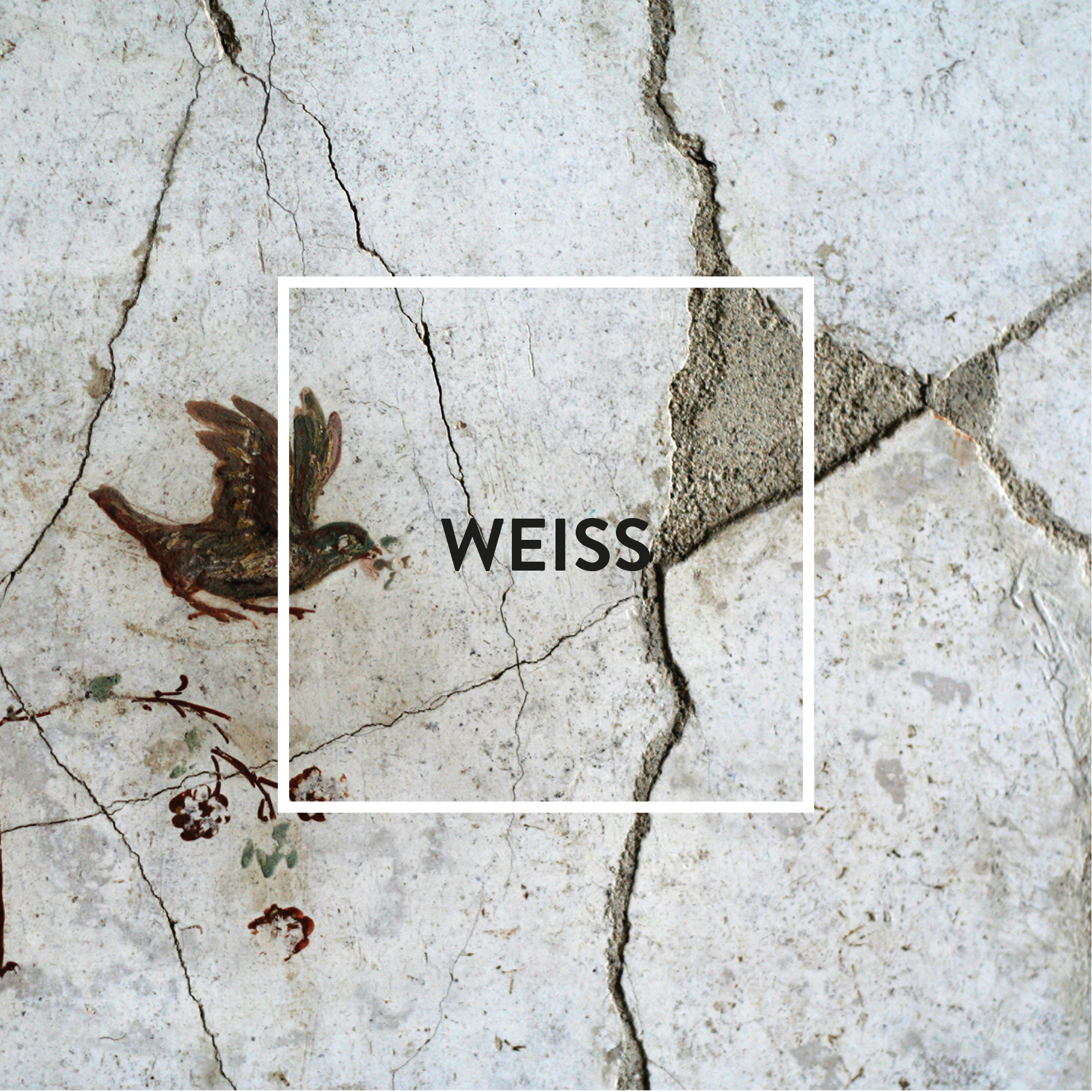ff_titelbild_weiss